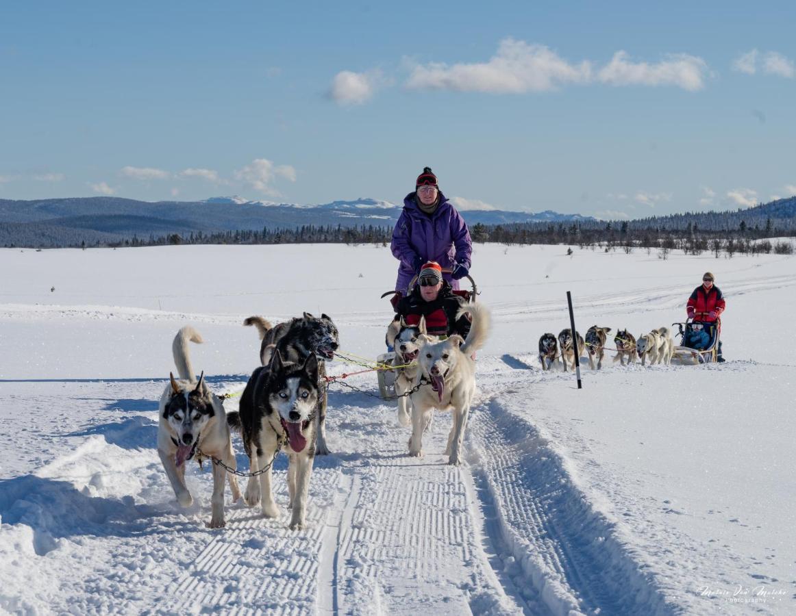 Rondane River Lodge - Rondane Gjestegard Enden Ngoại thất bức ảnh